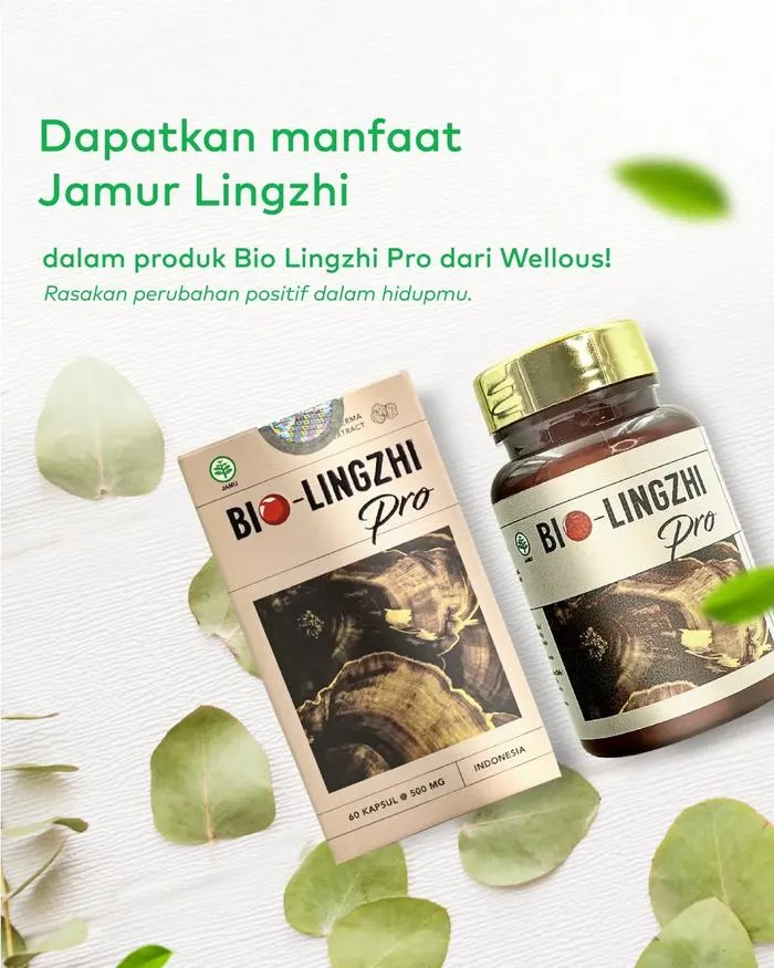 Bio-Lingzhi Pro — Ekstrak Jamur Ganoderma Lucidum - foto 2